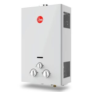 TERMA RHEEM 10L GN + DUCTERÍA INCLUYE KIT DE INSTALACIÓN